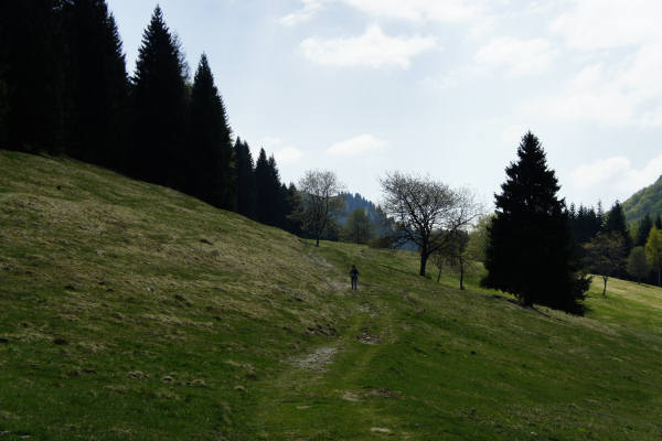 Limana: Valmorel, malga Montegal, Pian dele Femane, i Van