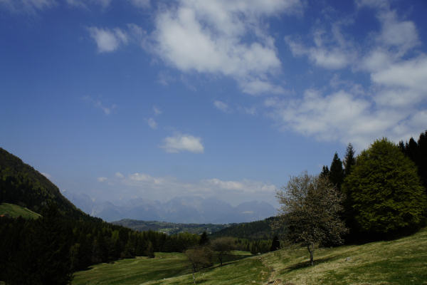 Limana: Valmorel, malga Montegal, Pian dele Femane, i Van