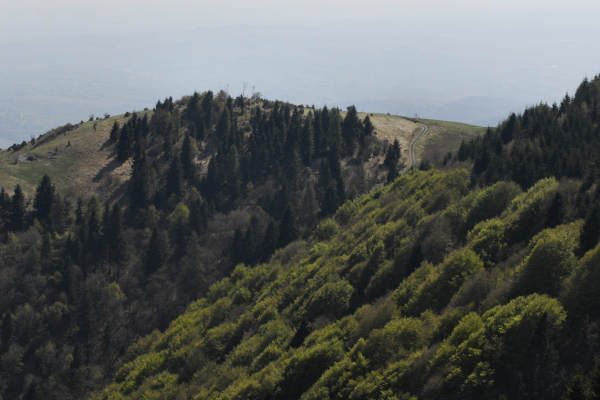 Limana: Valmorel, malga Montegal, Pian dele Femane, i Van