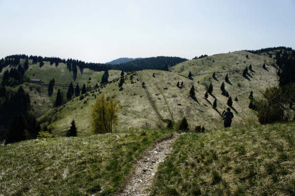 Limana: Valmorel, malga Montegal, Pian dele Femane, i Van