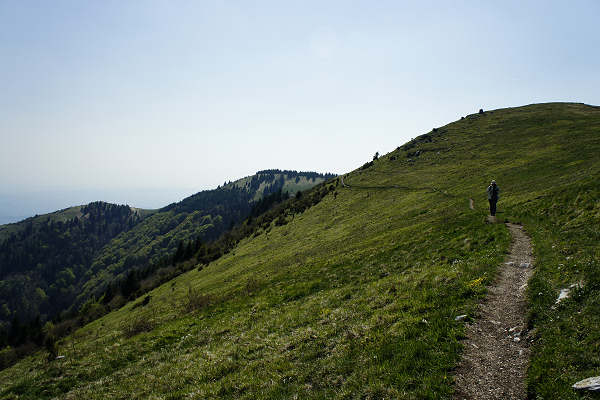 Limana: Valmorel, malga Montegal, Pian dele Femane, i Van