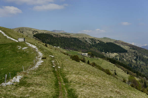 Limana: Valmorel, malga Montegal, Pian dele Femane, i Van