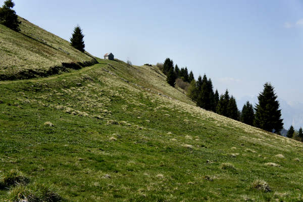 Limana: Valmorel, malga Montegal, Pian dele Femane, i Van