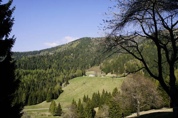 Limana: Valmorel, malga Montegal, Pian dele Femane, i Van