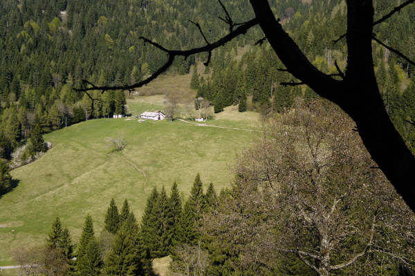 Limana: Valmorel, malga Montegal, Pian dele Femane, i Van