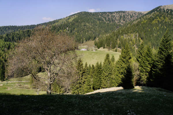 Limana: Valmorel, malga Montegal, Pian dele Femane, i Van