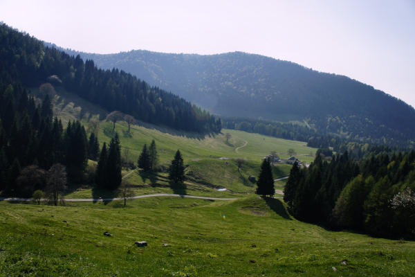 Limana: Valmorel, malga Montegal, Pian dele Femane, i Van