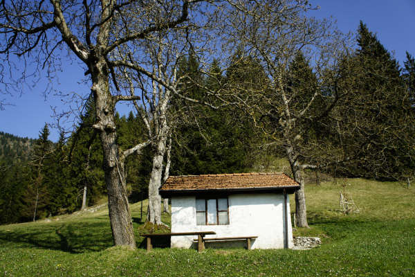 Limana: Valmorel, malga Montegal, Pian dele Femane, i Van