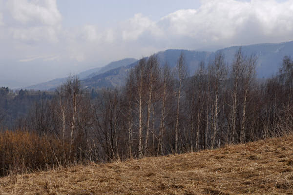 Mel, Cordellon, monte Foral