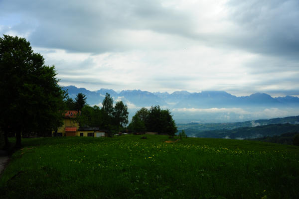 Boz Canidi Val d'Arc