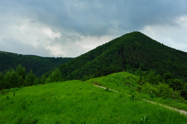 Boz Canidi Val d'Arc