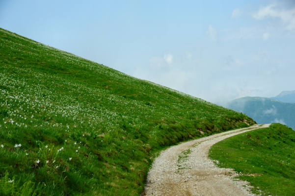Boz Canidi Val d'Arc