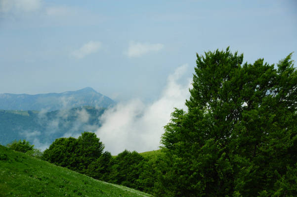 Boz Canidi Val d'Arc