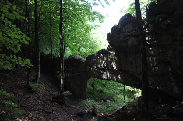 Boz Canidi Val d'Arc