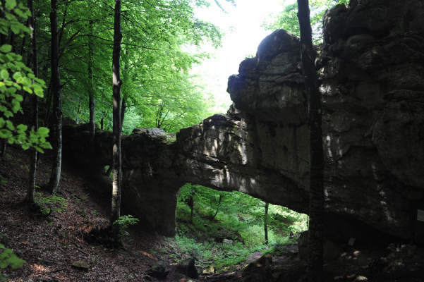Boz Canidi Val d'Arc