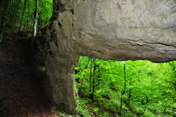 Boz Canidi Val d'Arc