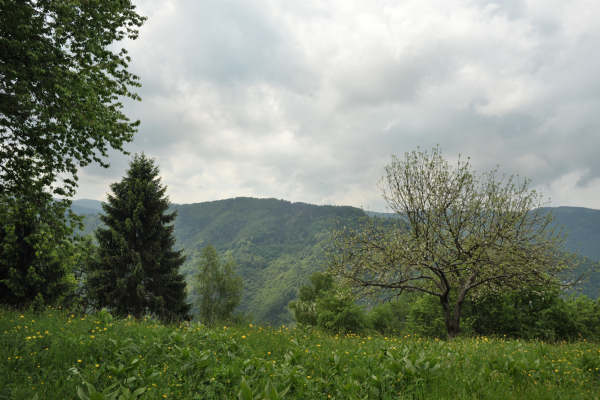 Boz Canidi Val d'Arc