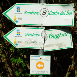 anello nordic walking Nevegal al Col Visentin, Belluno