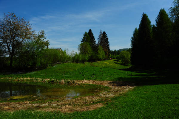 anello nordic walking Nevegal al Col Visentin Faverghera, Belluno