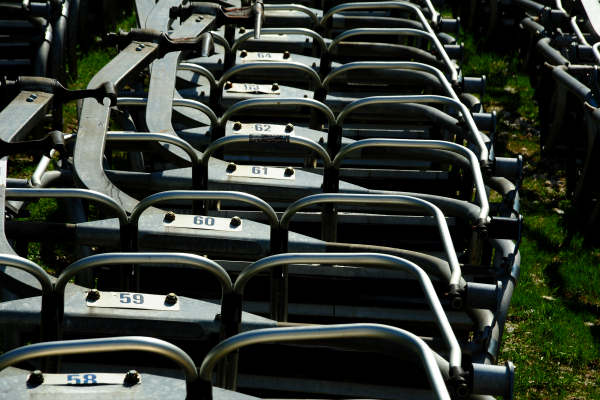 anello nordic walking Nevegal al Col Visentin Faverghera, Belluno