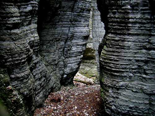Bus del Buson - Ardo
