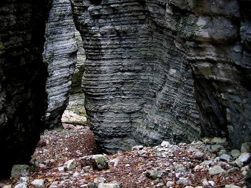 Bus del Buson - Ardo