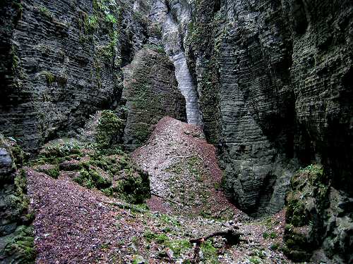 Bus del Buson - Ardo