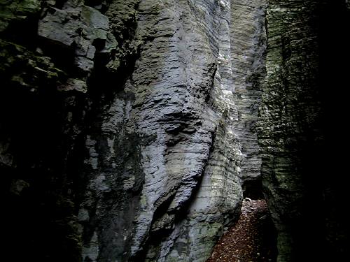 Bus del Buson - Ardo