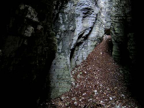 Bus del Buson - Ardo
