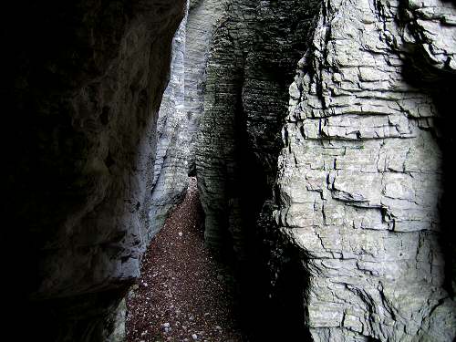 Bus del Buson - Ardo