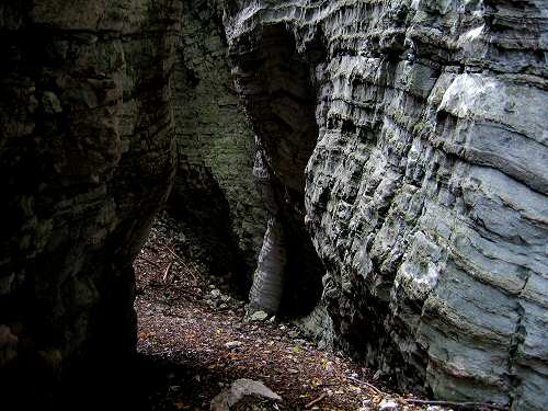 Bus del Buson - Ardo