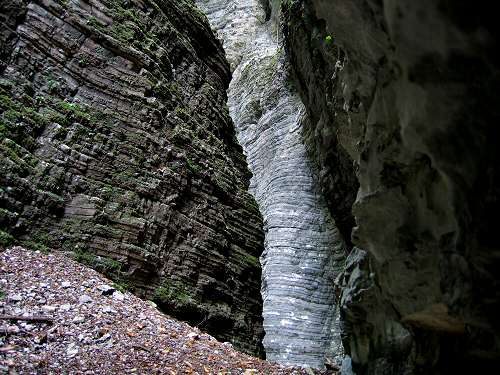 Bus del Buson - Ardo