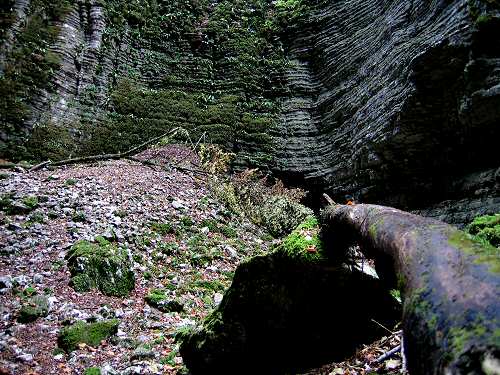 Bus del Buson - Ardo