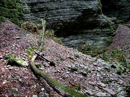 Bus del Buson - Ardo
