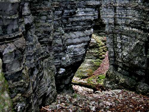 Bus del Buson - Ardo