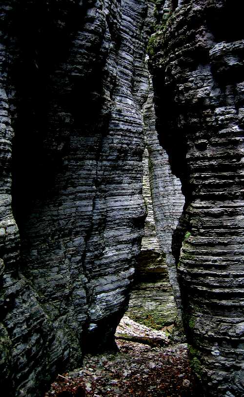 Bus del Buson - Ardo