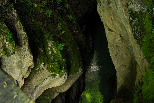 Valle del torrente Ardo, Val de l'Art, monte Schiara, Belluno