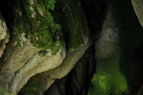 Valle del torrente Ardo, Val de l'Art, monte Schiara, Belluno