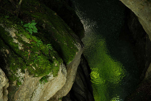 Valle del torrente Ardo, Val de l'Art, monte Schiara, Belluno