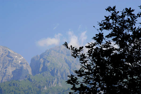 Valle del torrente Ardo, Val de l'Art, monte Schiara, Belluno