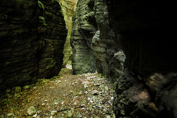 Valle del torrente Ardo, Val de l'Art, monte Schiara, Belluno