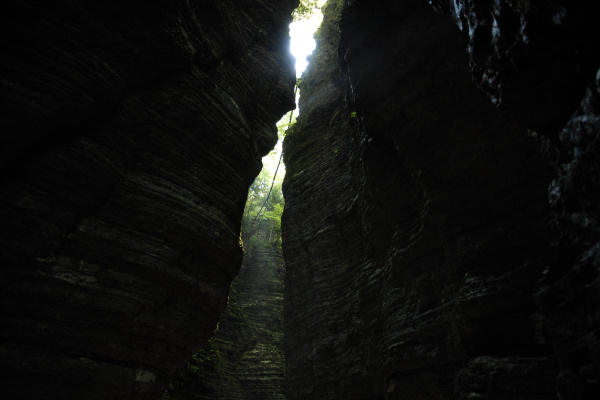 Valle del torrente Ardo, Val de l'Art, monte Schiara, Belluno