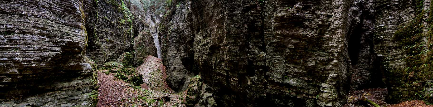 Bus del Buson del torrente Ardo, Schiara, Belluno, Dolomiti Bellunesi