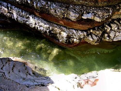 Brent de l'Art a Sant'Antonio Tortal di Trichiana, Valbelluna