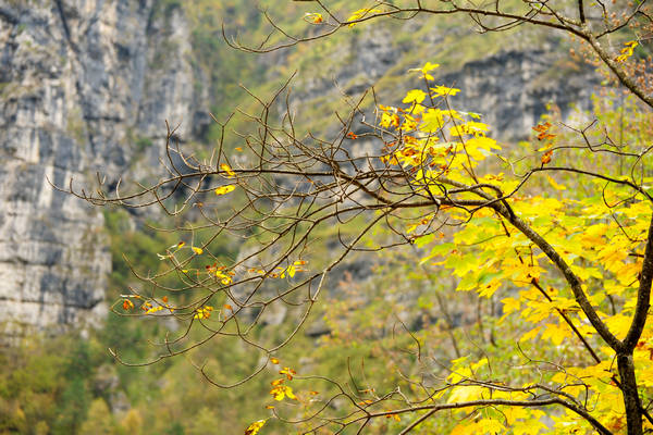 Cadini del Brenton in Valle del Mis, Parco Nazionale Dolomiti Bellunesi