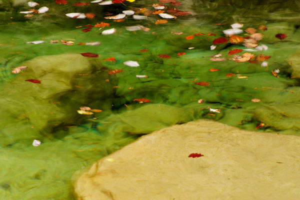 Cadini del Brenton in Valle del Mis, Parco Nazionale Dolomiti Bellunesi