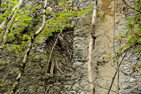 California di Gosaldo nella valle del Mis