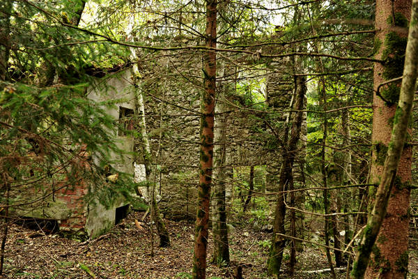 California di Gosaldo nella valle del Mis