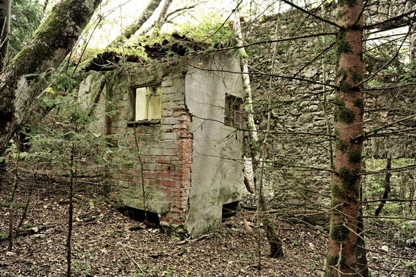 California di Gosaldo nella valle del Mis