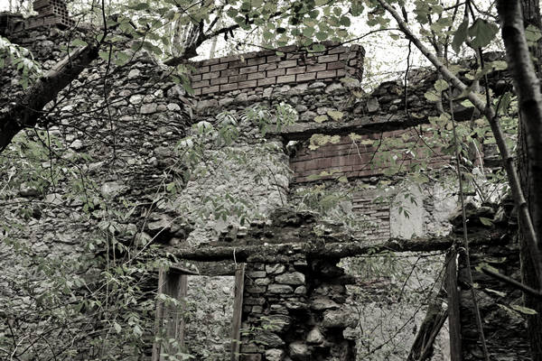 California di Gosaldo nella valle del Mis